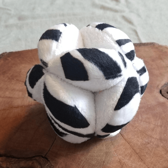 Zeebra