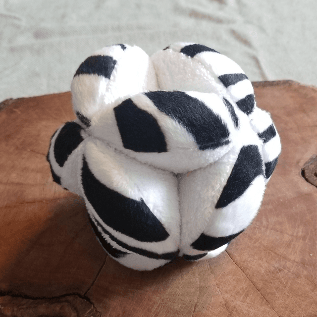 Zeebra